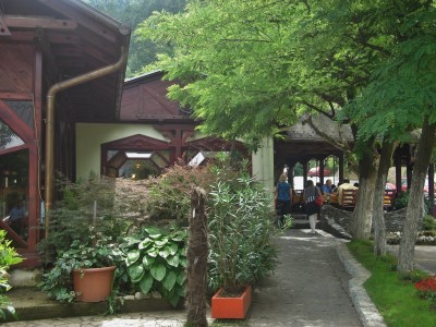 Restoran Zdrava voda Jablanica 13