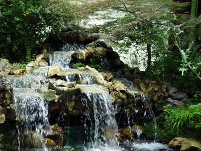 Restoran Zdrava voda Jablanica 5