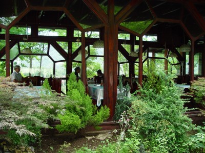 Restoran Zdrava voda Jablanica 9